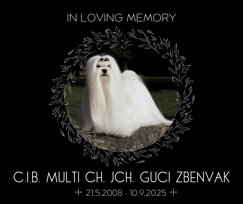 Guci-Zbenvak.png