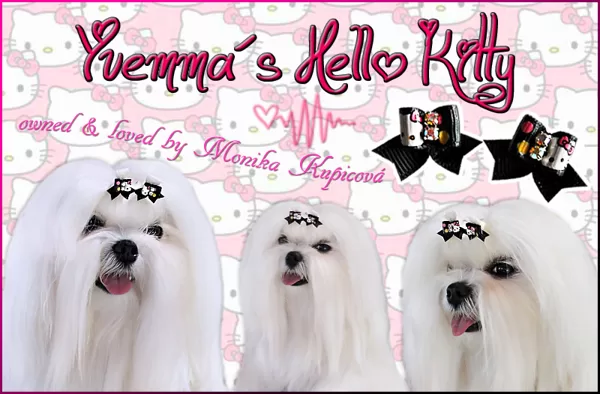 Yvemma's Hello Kitty
