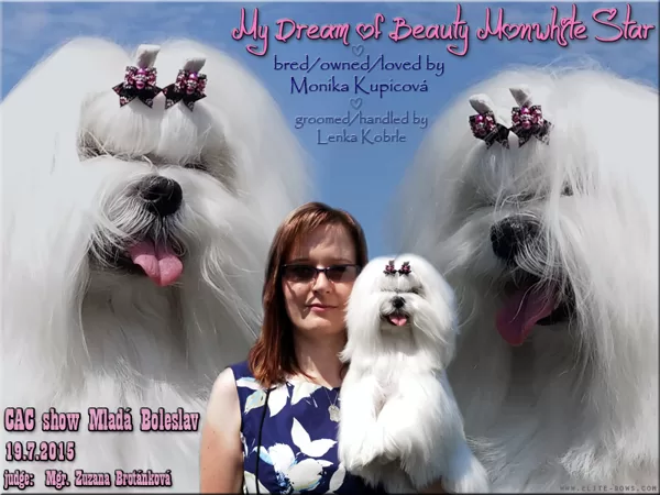 My Dream of Beauty Monwhite Star