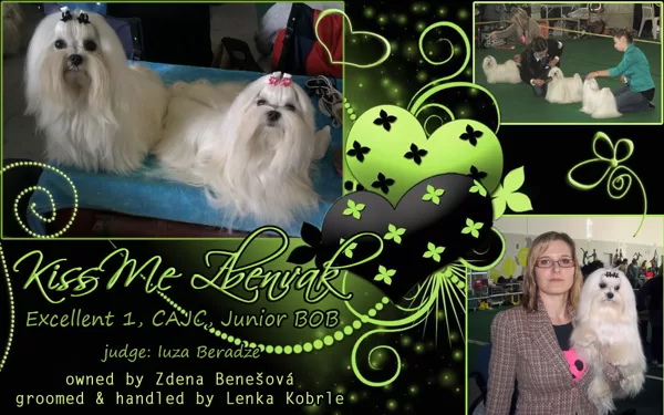 Kiss Me Zbenvak