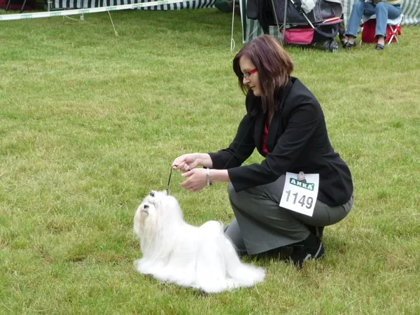 4.6.2010 NATIONAL DOG SHOW SENEC (SK)