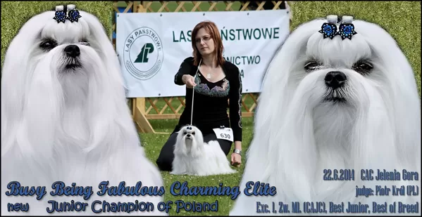 22.6.2014 NÁRODNÍ VÝSTAVA JELENIA GORA (PL)